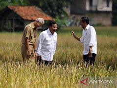 Jokowi Ganjar Prabowo Di Sawah